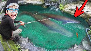 NEKAT BELI IKAN MONSTER ARAPAIMA TITAN RAKSASA KITA PANCING SAMPAI Tangan PUTUS [upl. by Dud393]