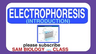 ELECTROPHORESIS INTRODUCTION SAM BIOLOGY 🧫 CLASS [upl. by Baram354]