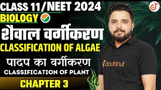 शैवाल वर्गीकरण Classification of Algae  Plant Kingdom Chapter 3  Class 11NEET Biology Yogesh Sir✔ [upl. by Assirehs]