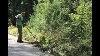 The most overgrown yard and landscape cleanup EVER [upl. by Nolitta114]