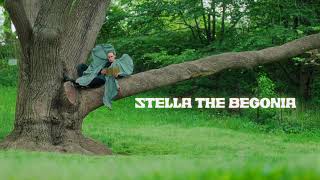 Rubblebucket  Stella The Begonia Official Video [upl. by Jakie]