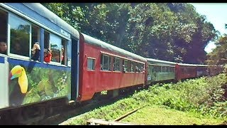 Trem de Passageiros Serra Verde e Rumo Descendo a Serra do Mar Parananense de Curitiba  Paranaguá [upl. by Hayward]