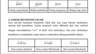 JAMAK MUANNATS SALIM amp JAMAK TAKSIR [upl. by Brunell]