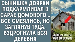 Тайна сарая что нашел сын доярки заставившее деревню содрогнуться [upl. by Joye249]