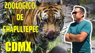 ZOOLÓGICO DE CHAPULTEPEC todo lo que debes SABER ¿Cómo visitarlo [upl. by Clerk]