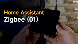 Home Assistant Tutorial01Add Zigbee Center and LED Controller [upl. by Nedra]