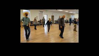 Senior Center TwoStep TwosDay Line Dancing Video [upl. by Nodnab]