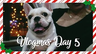 🎄UAAP FINALS amp OUR SECRET PRACTICE🎄 Vlogmas Day 5  Karla Aguas [upl. by Babbie]