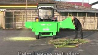 TB300 COMBY  The only ChipperShredder in the world to reduce Palm Leaves into powder [upl. by Aniz]