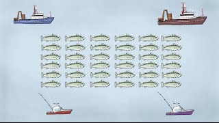 Fisheries Economics amp Policy Intro to Fisheries Management [upl. by Ahsatal]