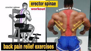 5 erector spinae exercises  How to Get a Strong Low Back [upl. by Garnes]