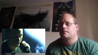 Linkin Park  Rolling in the Deep Song Reaction [upl. by Yeltnarb544]