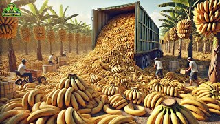 Bananas Mega Factory Processing Millions of Bananas Using Modern Technology [upl. by Millman]