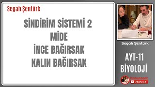 SİNDİRİM SİSTEMİ2  MİDE İNCE BAĞIRSAK KALIN BAĞIRSAK  AYT BİYOLOJİ  11SINIF  YKS 2025 [upl. by Safoelc553]