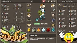 HUPPERMAGE stuff DO CRIT PVM EN PVP  DOFUS [upl. by Ecydnac]