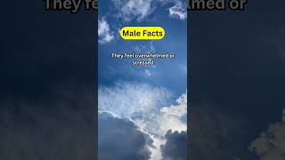 5 Shocking TRUTHS About Men That Will Change Your Mind malefacts love psychologyfacts [upl. by Burty496]