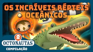 Octonautas  🐍 Os Incríveis Répteis Oceânicos 🐊  Compilação  Episódios inteiros [upl. by Sivaj]