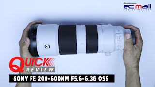 Quick Review  SONY FE 200600MM F5663G OSS [upl. by Washburn]