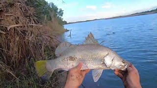 1 Burdekin River rats in winter First trial of the Gopro barramundi [upl. by Aneeb]