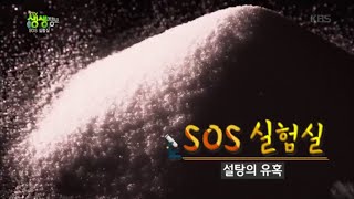 2tv 저녁 생생정보  SOS 실험실 달콤한 설탕의 유혹20160301 [upl. by Bajaj]