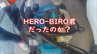 がんばれかるま君もしかしてHEROBIRO君なの） [upl. by Uwton]