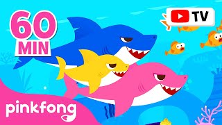 Baby Shark Dance More and More  Doo Doo Doo 60 Min  Baby Shark NonStop  Pinkfong Songs for Kids [upl. by Nedle]