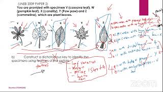 S2 Biology  Dichotomous Key amp Leaf Modifications with Teacher Patrick Bbumba [upl. by Schou]