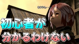 【FF14】初心者に分かるわけない洗礼5選 実体験込み【ゆっくり】 [upl. by Maupin]