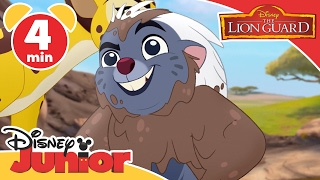 Lion Guard  Chungu and Cheez  Disney Junior UK [upl. by Anawqahs]