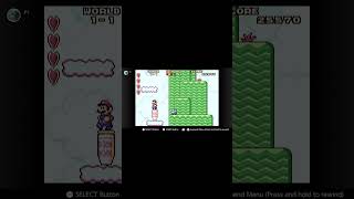 All Mushroom Locations in World 11  Super Mario Advance [upl. by Coyle]