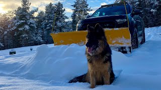 Scottish Highland Winter Road inspections ❄️ with Marley 🐶 nature dog scotland inverness [upl. by Atis439]