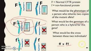 Inherited Disorders  Autosomal dominant vs recessive [upl. by Sulokcin11]