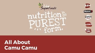 Camu Camu Health Benefits and How To Use It [upl. by Ybrad]