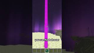 We need this in the End Update for Minecraft 🔮 shorts [upl. by Goldston926]