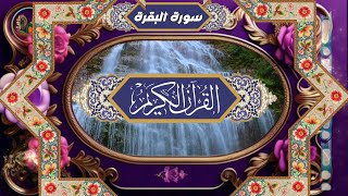 القرأن الكريم سورة البقرة alquran karim [upl. by Llirpa501]