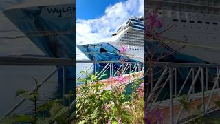 Norwegian Bliss Cruise in Alaska💙 norwegiancruiseline cruisetravel cruiseship cruises shorts [upl. by Major]