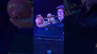 Jazz Trumpet by Mark Brueggemann trumpetsolo trumpet livejazz jazz watch trumpet in Ozarks [upl. by Hillhouse]