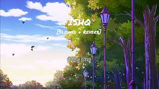 ISHQ Song Lyrics Slowed  Reverb Amir A  Faheem A  Rauhan M I Tranding Song  Lofi Boy🎶 [upl. by Siram]