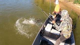 Asi es la pesca en el rio Ele amarillos palometas y barbianchos en aguas repletas de caimanes [upl. by Moss]