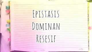 Materi Kelas XII MIA  Epistasis Dominan Resesif Inhibitor [upl. by Odrahcir129]