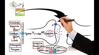 Pharmacology  DRUGS FOR PARKINSONS DISEASE MADE EASY [upl. by Thecla718]