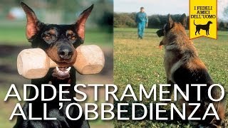 ADDESTRAMENTO ALLOBBEDIENZA trailer documentario cani e cinofilia [upl. by Otrebireh]