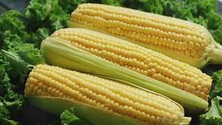 Corn Benefits and Why We Should Eat It Regularly [upl. by Analla]