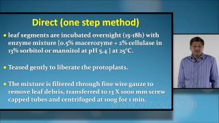 Protoplast Culture [upl. by Eelessej]