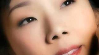 林憶蓮 願 Sandy Lam With lyrics Sing Along [upl. by Dnomayd]