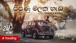 Pipunu Malaka  පිපුණු මලක හැඩ  Cover by Thiwanka Mihiran [upl. by Quincy]