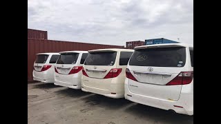 Used Toyota Alphard amp Toyota Vellfire 2008 To 2010 Review Price Detail For Sale [upl. by Wakerly869]