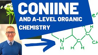 Coniine  An Organic Chemistry Profile [upl. by Ahsiakal]