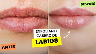 exfoliante para labios casero CON 2 INGREDIENTESFABI ZEA [upl. by Mcgregor]