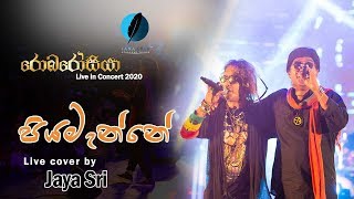 PIYAMANNE LIVE COVER BY JAYA SRI AT ROBAROSIYA 2020  OFFICIAL VIDEO [upl. by Naeroled]